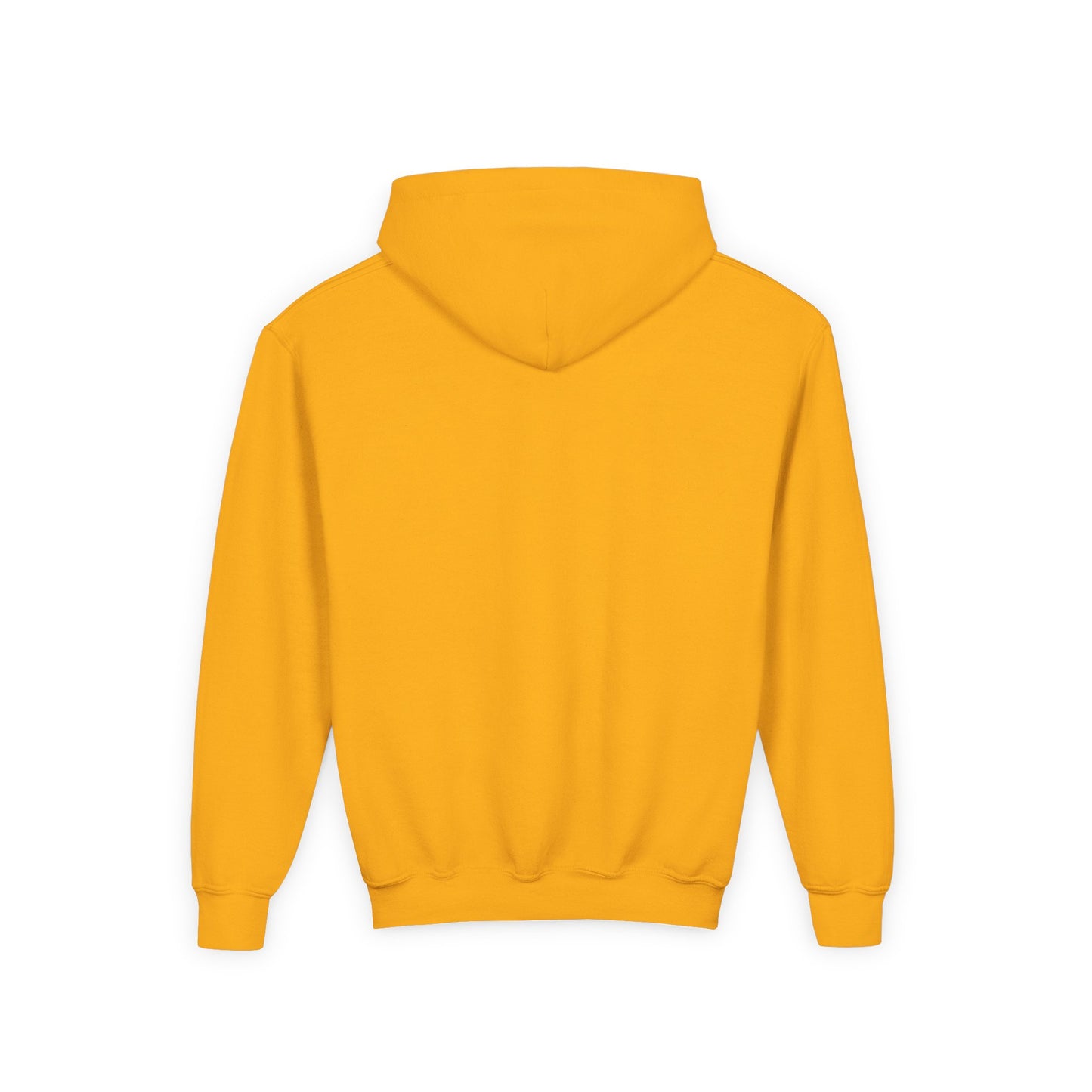 Youth Heavy Blend Hooded Sweatshirt - The Ordinary Holds Miracles