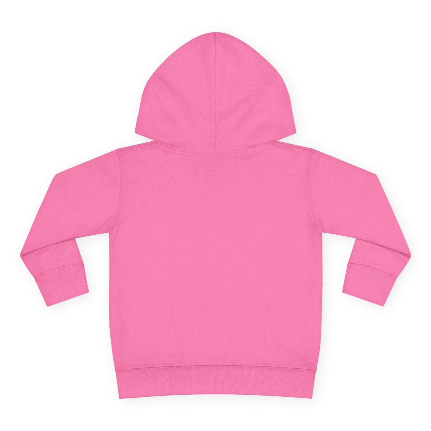 Toddler Pullover Fleece Hoodie - The Ordinary Holds Miracles