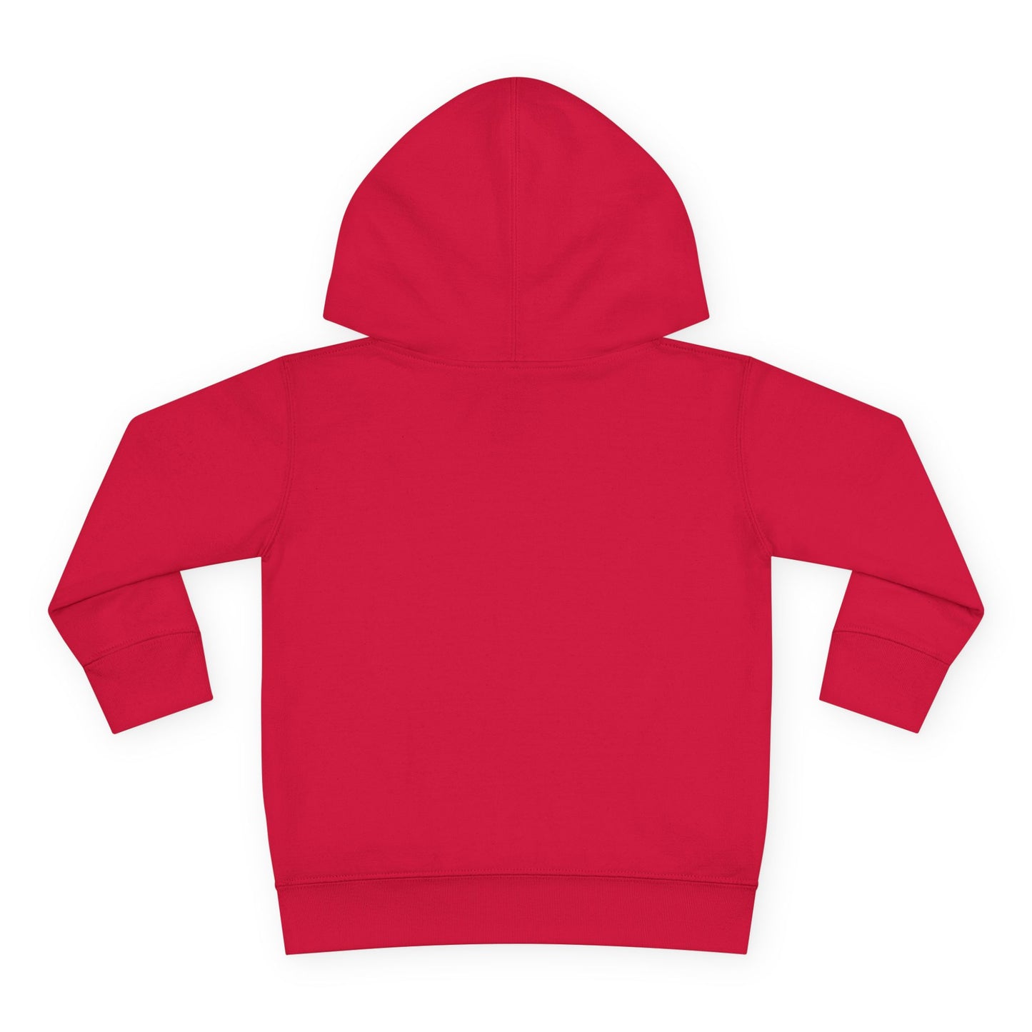 Toddler Pullover Fleece Hoodie - The Ordinary Holds Miracles