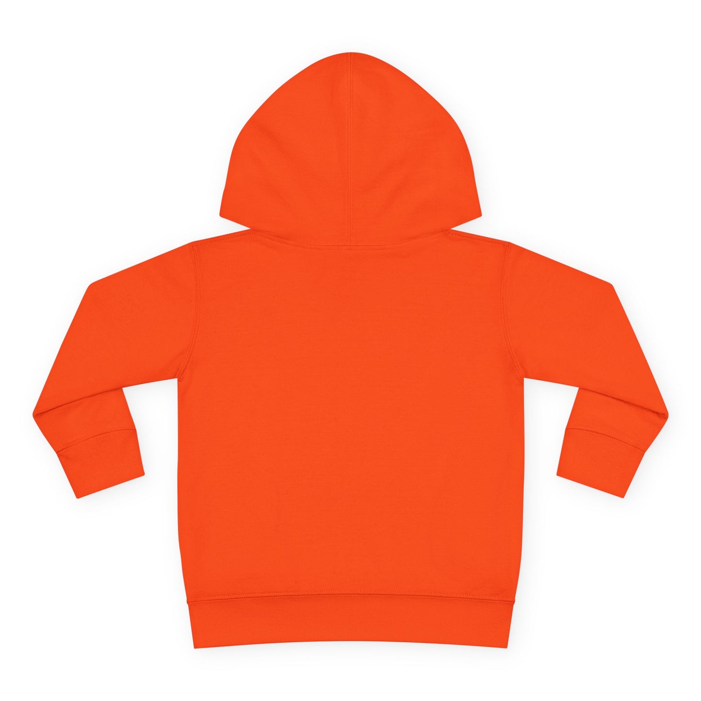 Toddler Pullover Fleece Hoodie - The Ordinary Holds Miracles