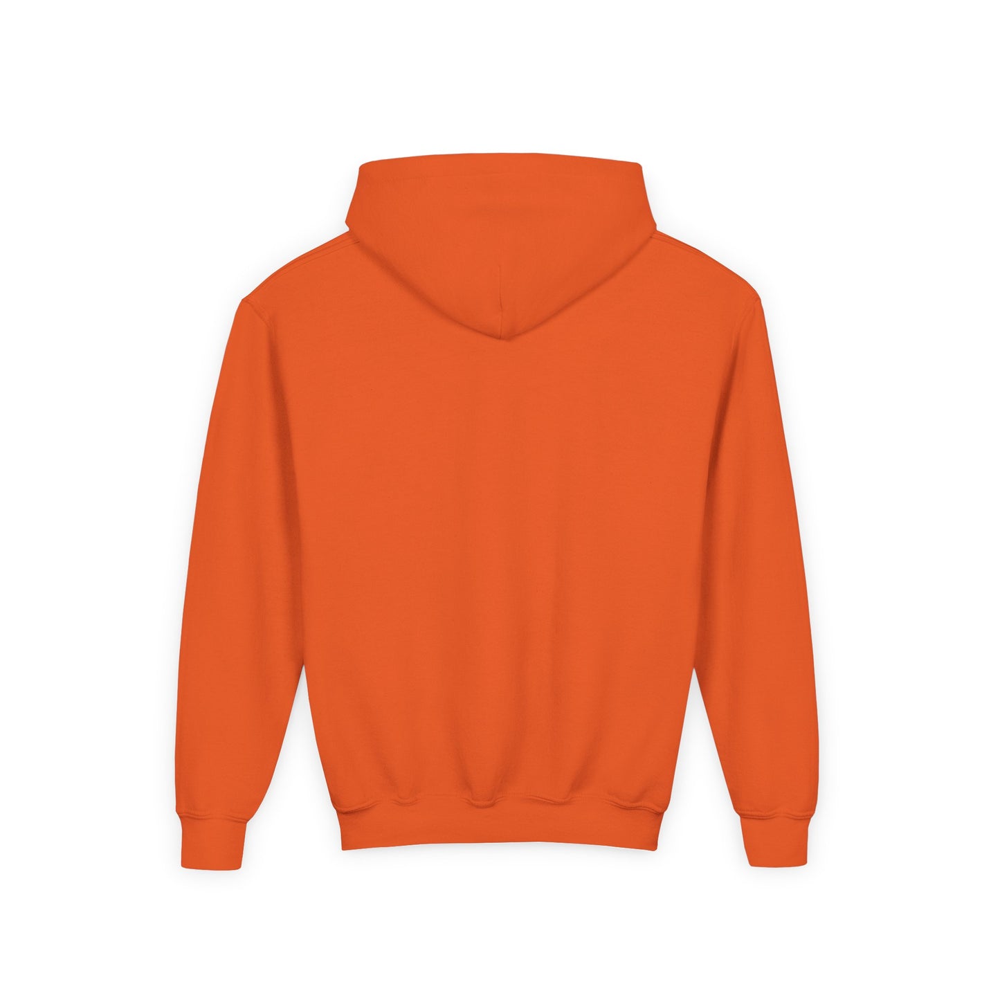 Youth Heavy Blend Hooded Sweatshirt - The Ordinary Holds Miracles