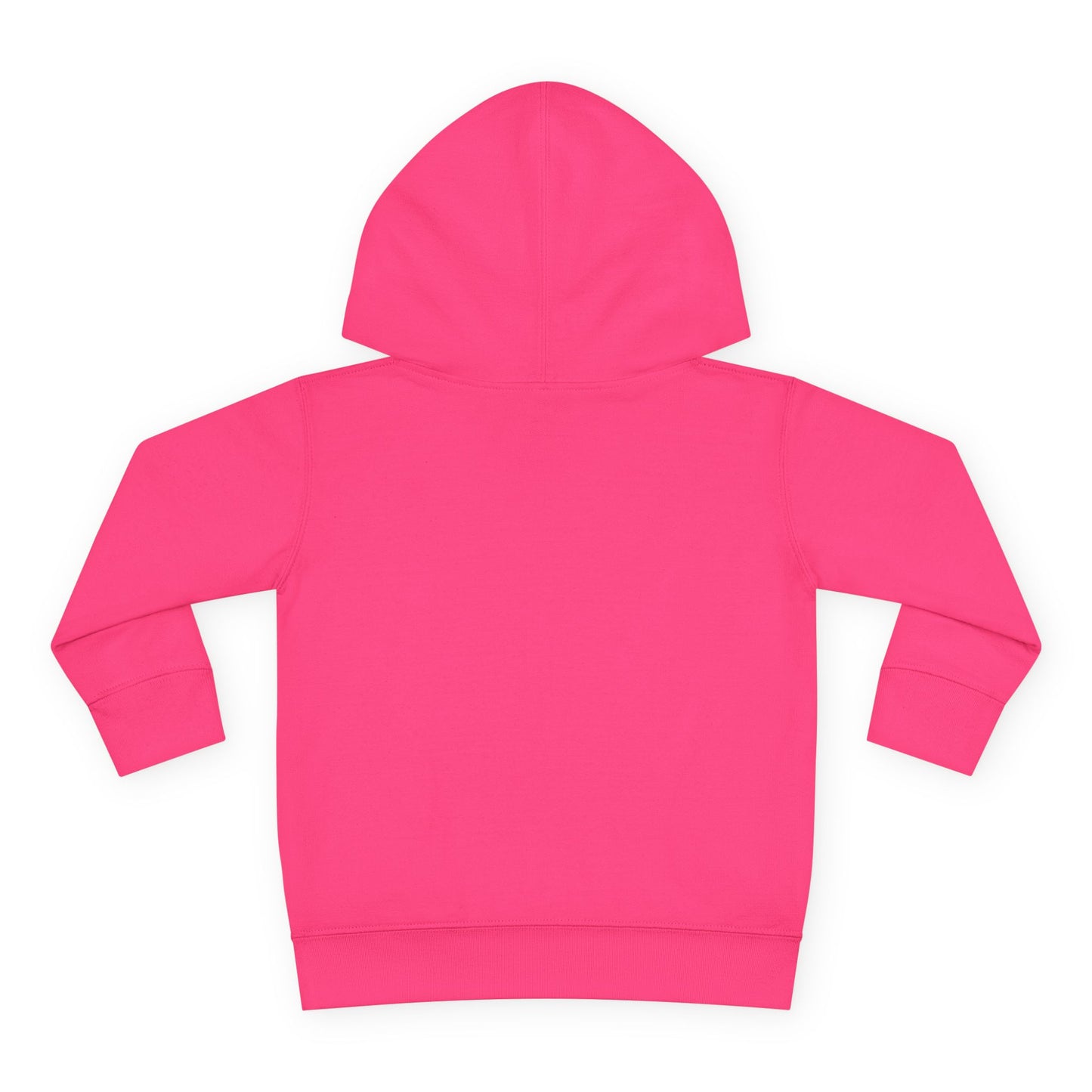 Toddler Pullover Fleece Hoodie - The Ordinary Holds Miracles