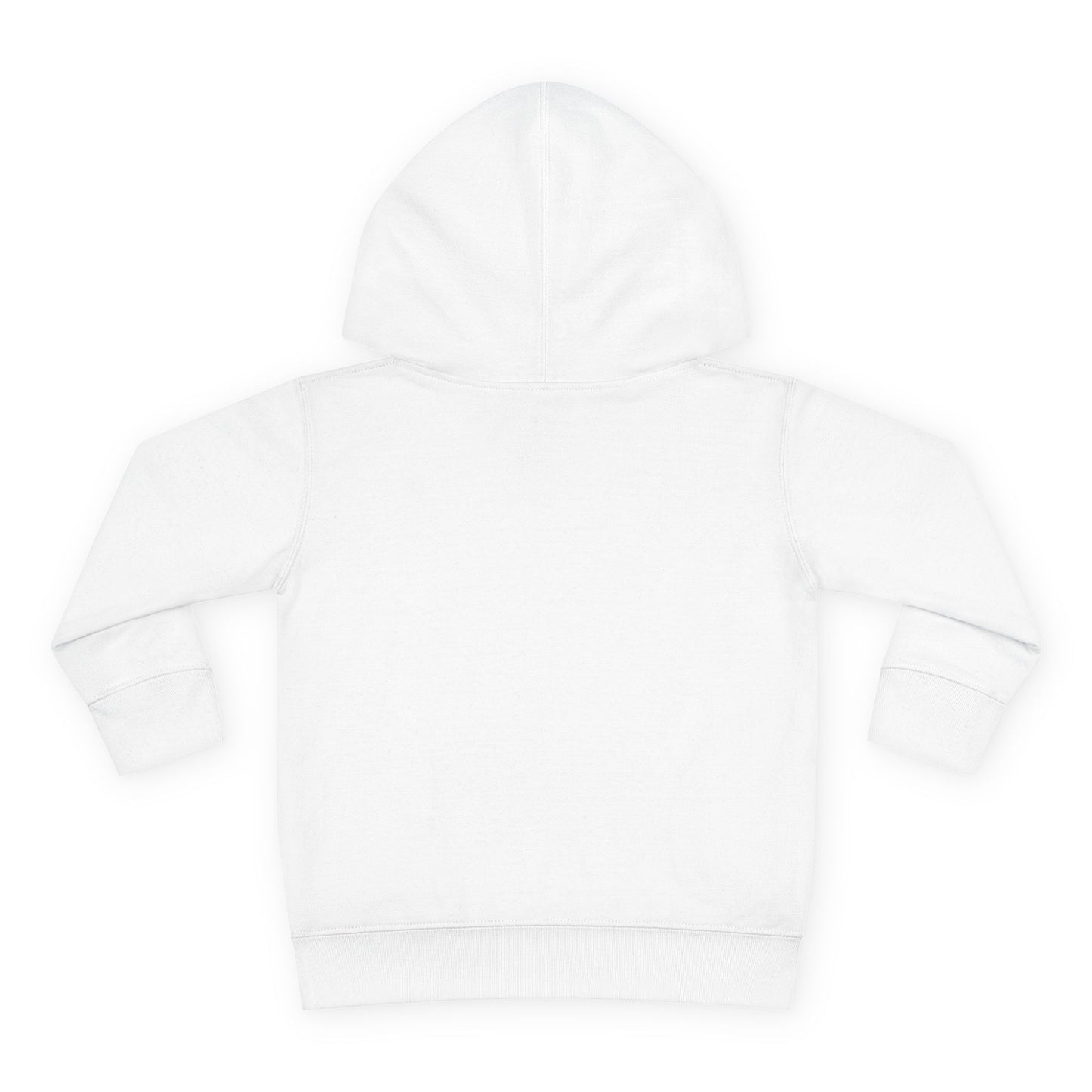 Toddler Pullover Fleece Hoodie - The Ordinary Holds Miracles