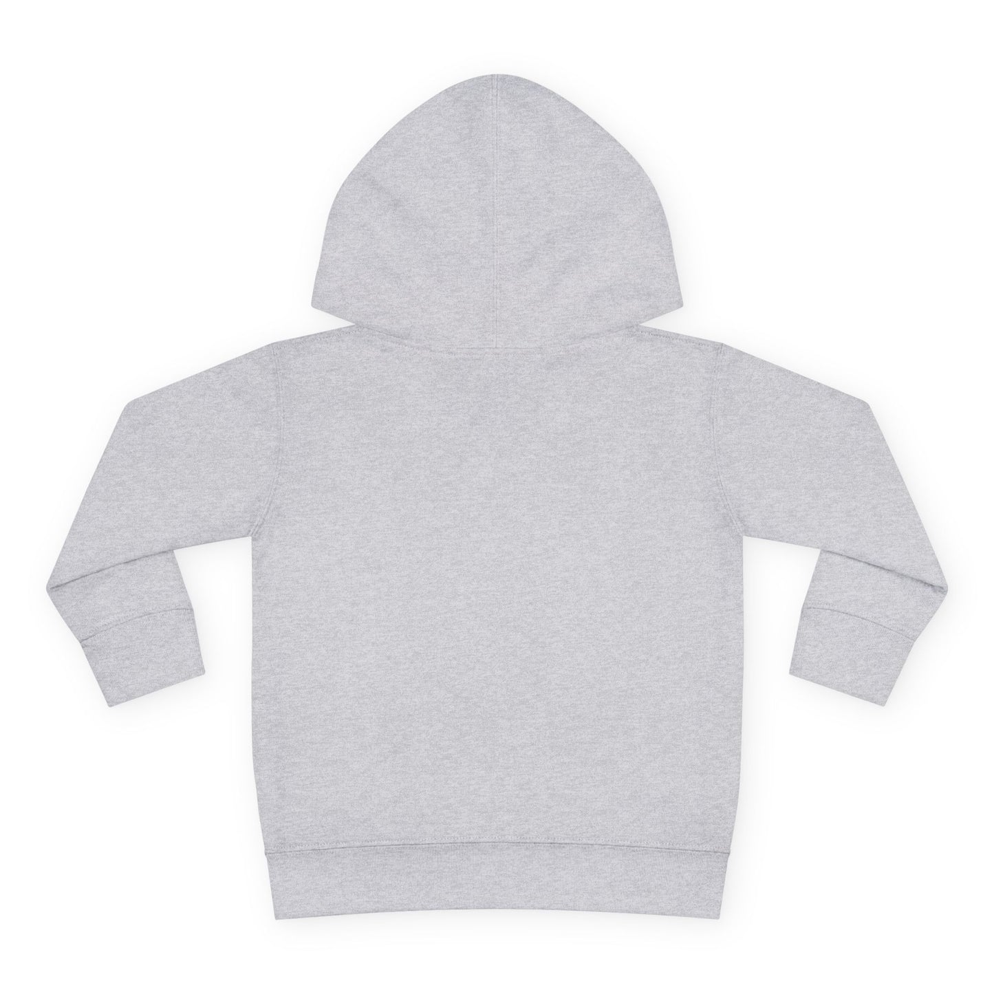 Toddler Pullover Fleece Hoodie - The Ordinary Holds Miracles