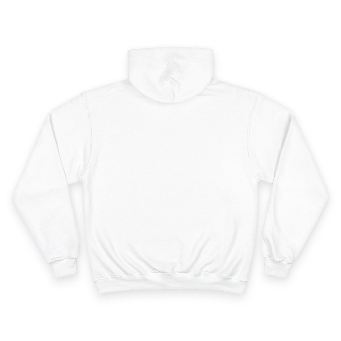 Champion Hoodie - We Are All Palestinian